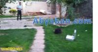 مکان یابی برای تعیین محل حفر چاه و مطالعه امکان کف شکنی چاه در یک ویلا در شهر آبسرد استان تهران