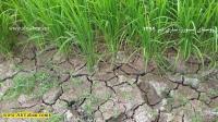 تعیین بهترین محل حفر چاه در روستای اسبورز ساری