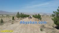 آبیابی و نحوه زدن راسل در چاه یکی از متقاضیان در شهر نیم ور (نزدیک محلات)